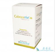 ��������(cabozantinib)����ת���Է�͸��ϸ������������Ч�Ͱ�ȫ��