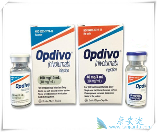 纳武单抗 纳武单抗