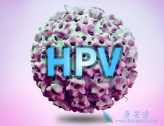 ��Ⱦ��hpv������Ů�Ի��ܻ�����