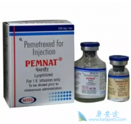 ��������(pemetrexed)���Ͽ�������ķ������������ת���Է���״NSCLC