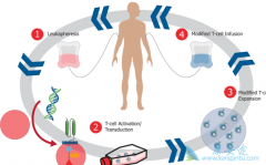 cart���������ö෢�Թ�������Ϊһ�ֿ������ļ���