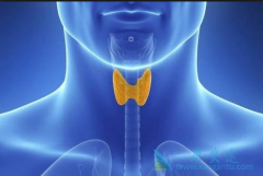 ����ҽ�Ƹ������״�ٰ�������֢״������Щ