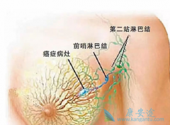 ���ٰ����ڵı�׼��ʲô����ͬ���ڵ����Ʒ������ѡ��