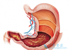 ���������Ӱ��θ�������ܻ��õ�����֮һ