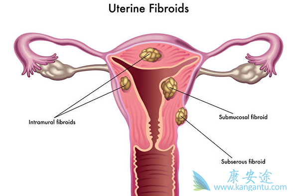 �����۰�