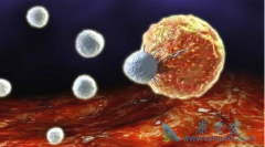 �����о�������������ʳ���ͻ����Ӱ�֢ת�Ʒ���