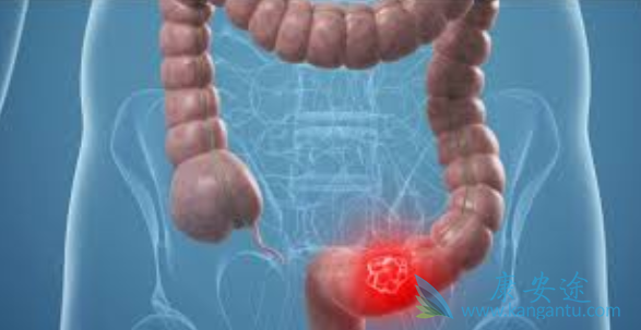 �᳦�������ܻ���