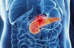 ���ٰ������ܻ���ȡ������Щ���أ�