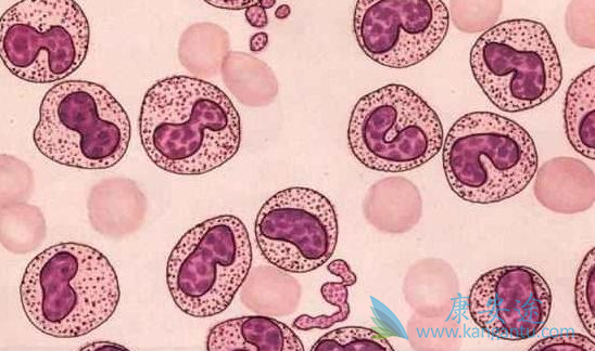 ������Ѫ��