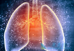 ���Լ����Է��׵�Ӱ��ѧ�����ʲô�ص㣿