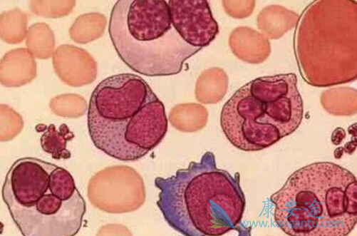 ������ά��