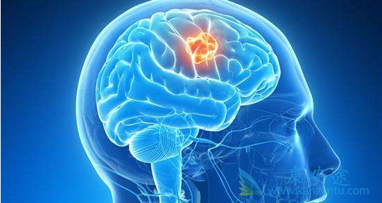 �Բ�����