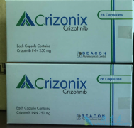 ��������(xalkori)��ҩ�����ܷ��ӳ������ڣ�