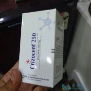 ��������/������һ����������NSCLC������Ч����������������˳��