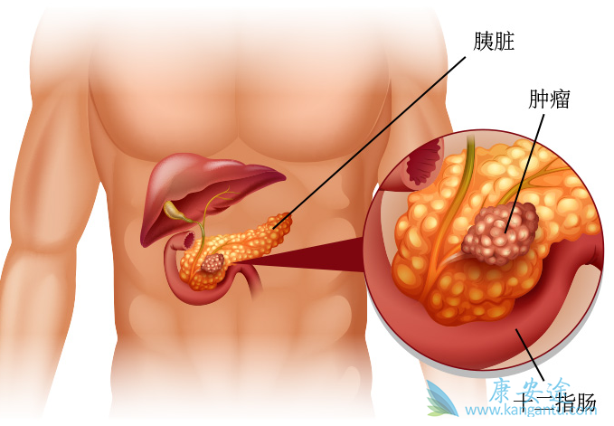 ���ٰ������ܻ���