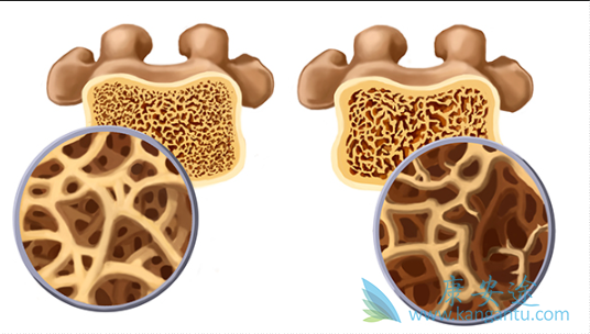 ˫������