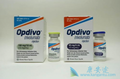 �������䵥�����ƺ���ּ��Խ�չ�ķ�Сϸ���ΰ���������Щ�ٴ�������