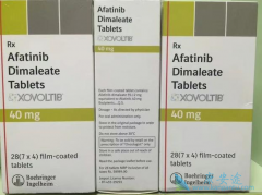 ����������������EGFR����ͻ���Сϸ���ΰ��ͷ��۰�Ч����Σ�