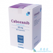 ���������������ڸ�ϸ�������ߵĸ��������ӳ��������������й���