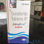 ����������ַ����������Ч����ɱ��Ĳ���