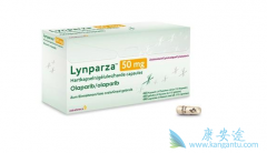 ��������(Lynparza������������ٰ���ά������