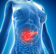 ����car-tϸ���Ʒ����ٰ���������