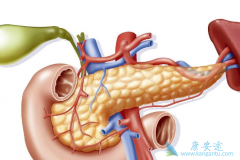 ���ٰ��Ĳ�������Щ�����Ԥ������������