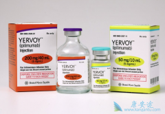 ���߼������Ƽ�CTLA-4�����Ķ�����Ӧ������