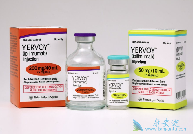 CTLA-4单抗 CTLA-4单抗