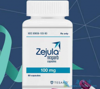 ��������(Zejula)������PARP���Ƽ���Ҫ���BRCAͻ�仼�ߵĳ���