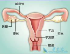 �ѳ���������ҩ�ﶼ����Щ��