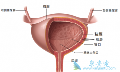 ���װ������Ʒ���������Щ��