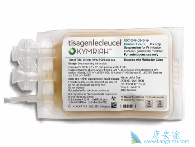 CAR-T细胞疗法 CAR-T细胞疗法
