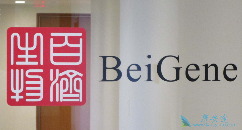 替雷利珠单抗 替雷利珠单抗