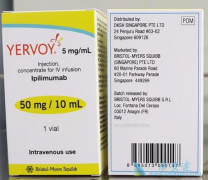 �����������Ҫ������ƥ����(Ipilimumab)��ҩ����������ֹ���ƣ�