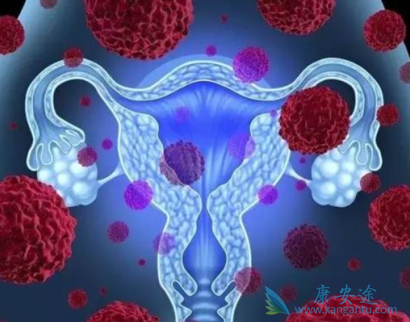 �ѳ��������ܻ���