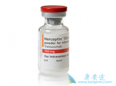 ����HER-2�������ٰ�����ʹ�������鵥�����������鵥��������