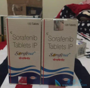 ��������/���������ν΢Ѫ���ַ�HCC���������ٴ�����