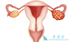 ��ɼ�����Ͽ����������ѳ����ı�׼���Ʒ�����