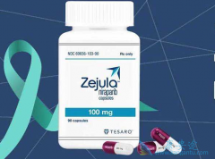 ��������(Zejula)�뱴���鵥���������ƿɲ���ЭͬЧӦ