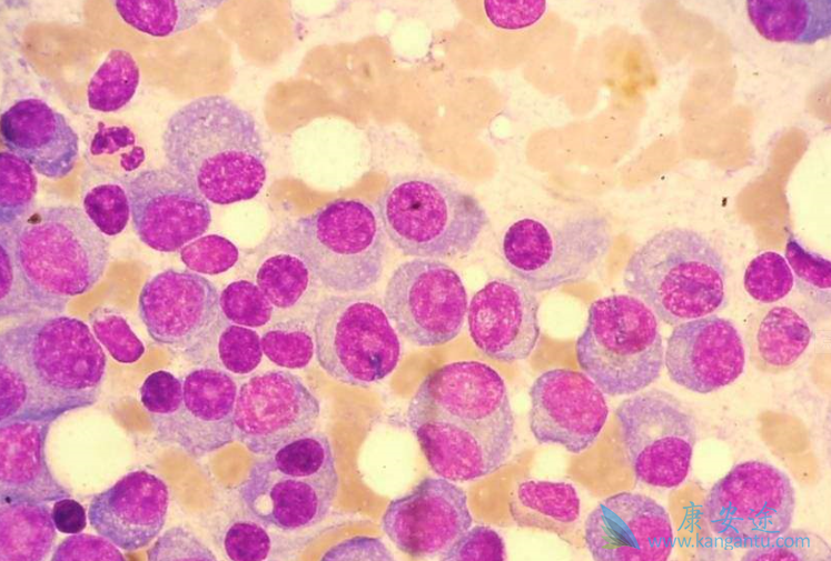 �෢������