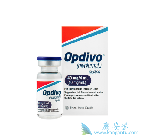 �������ȵ���