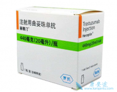 ����͡����������������Щ��Ч��