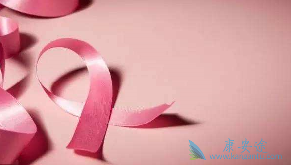 ���ٰ��ڷ�������