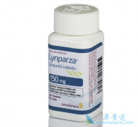 PARP���Ƽ����������������ѳ�����õİ���ҩ����