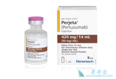 HER2�������ٰ�ʹ�������鵥�����������鵥��Ч������