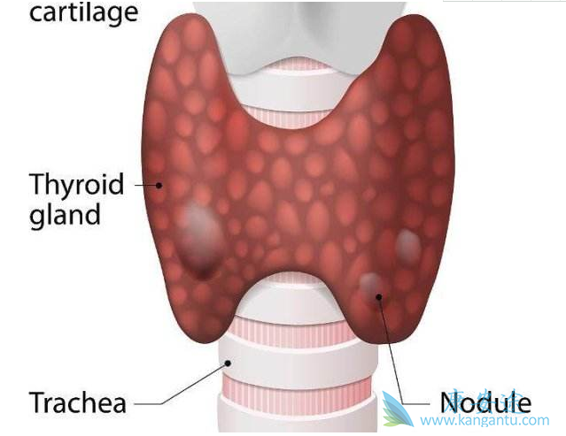 ��״������