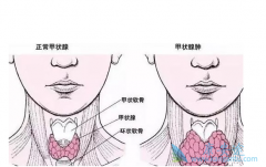 ��״���������Ʒ���������Щ��