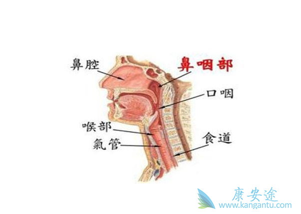 ���ʰ�����