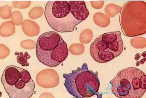 ������ά��